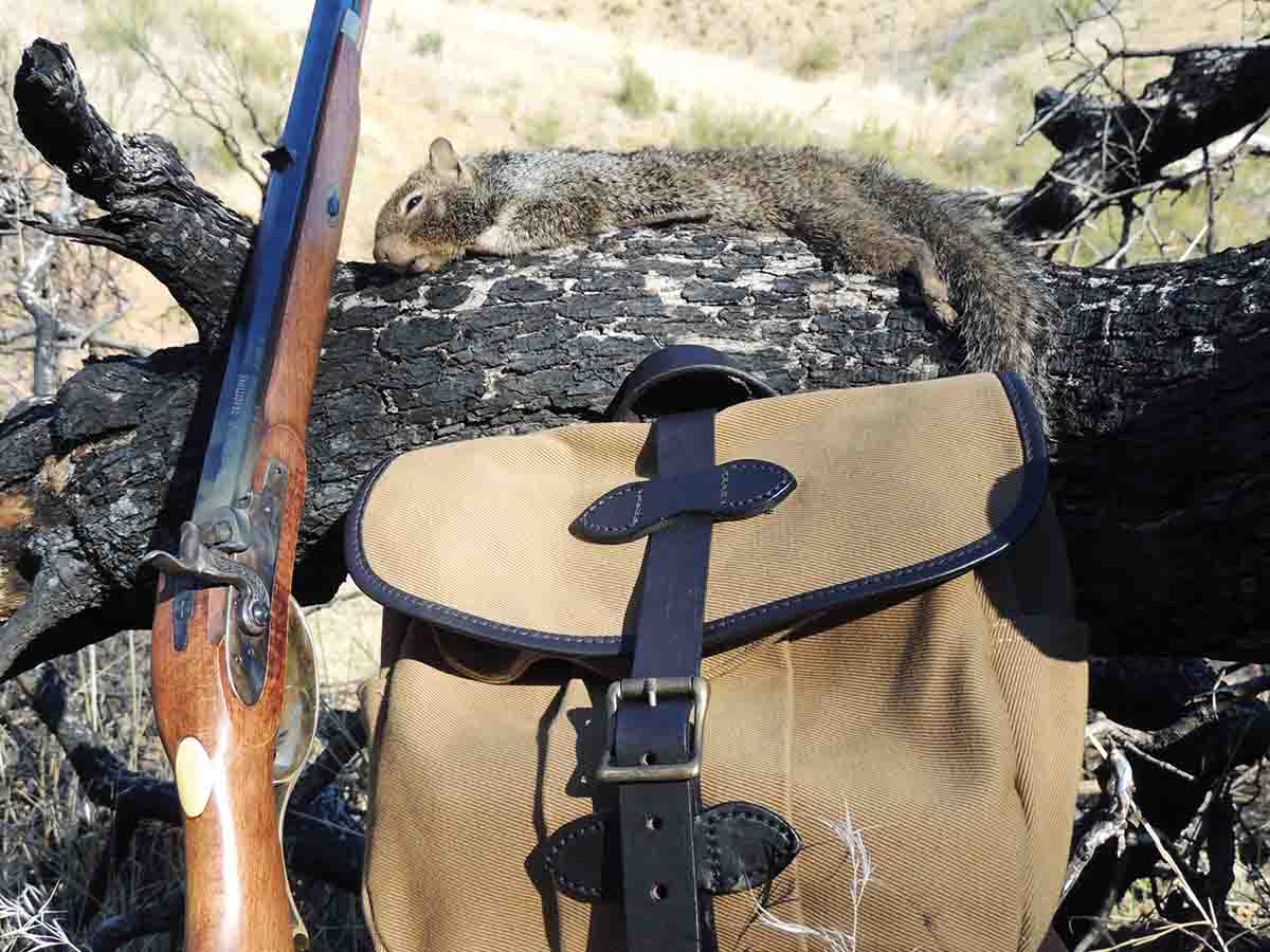 A western gray squirrel is a worthy trophy for the .32acaliber muzzleloader.